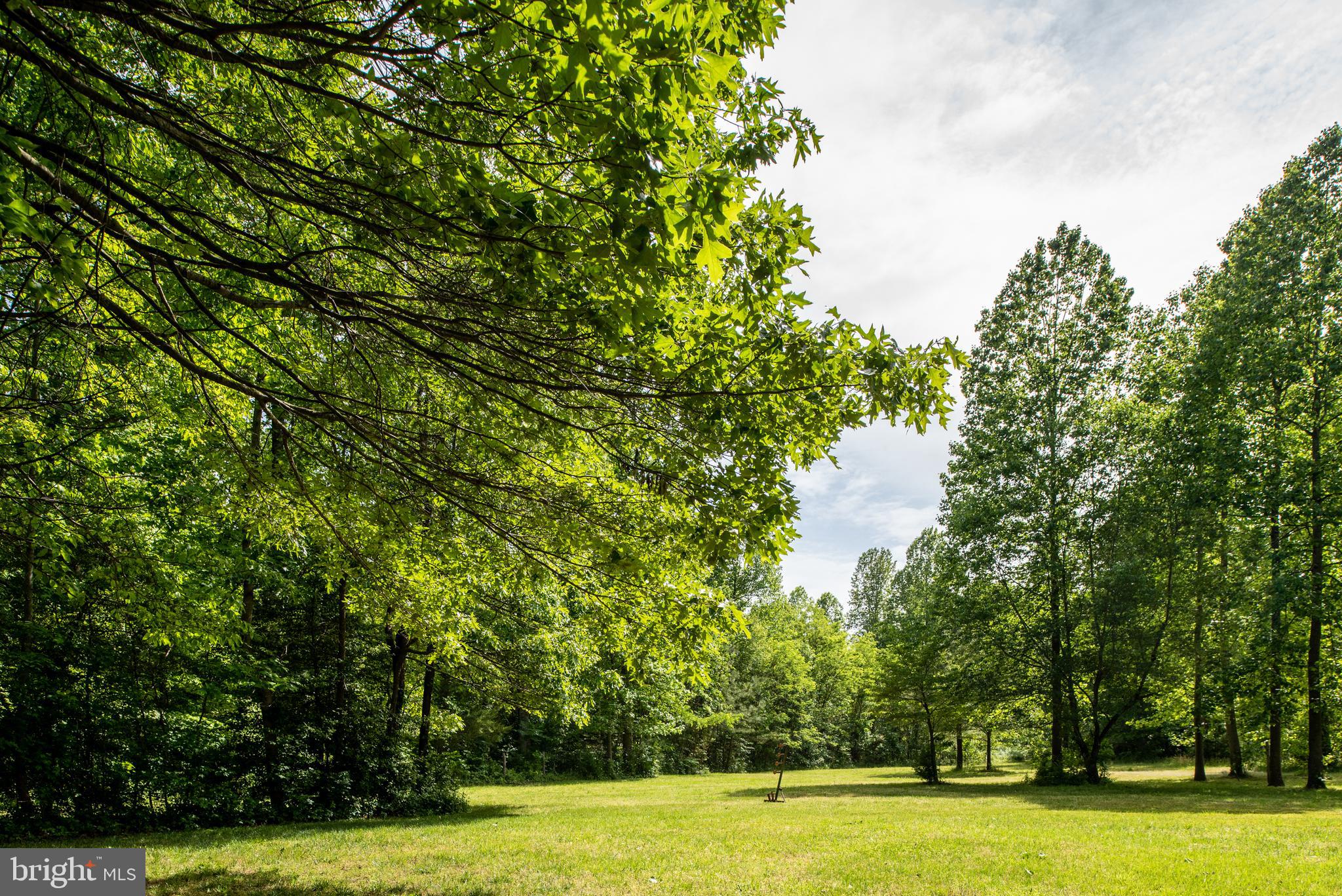 14180 Round Hill Road King George, VA 22485 - Photo 57 of 59 Backyard View