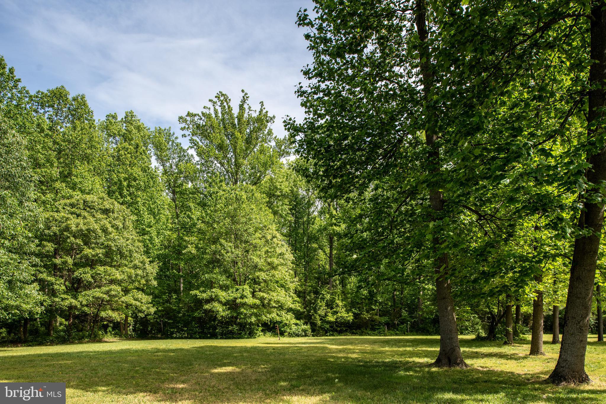 14180 Round Hill Road King George, VA 22485 - Photo 58 of 59 Backyard View