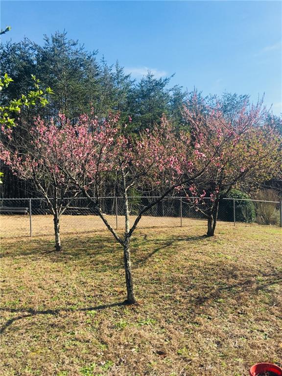5001 Rocky Ridge Road Connelly Springs, NC 28612 - Photo 7 of 30 Gallery Image 7