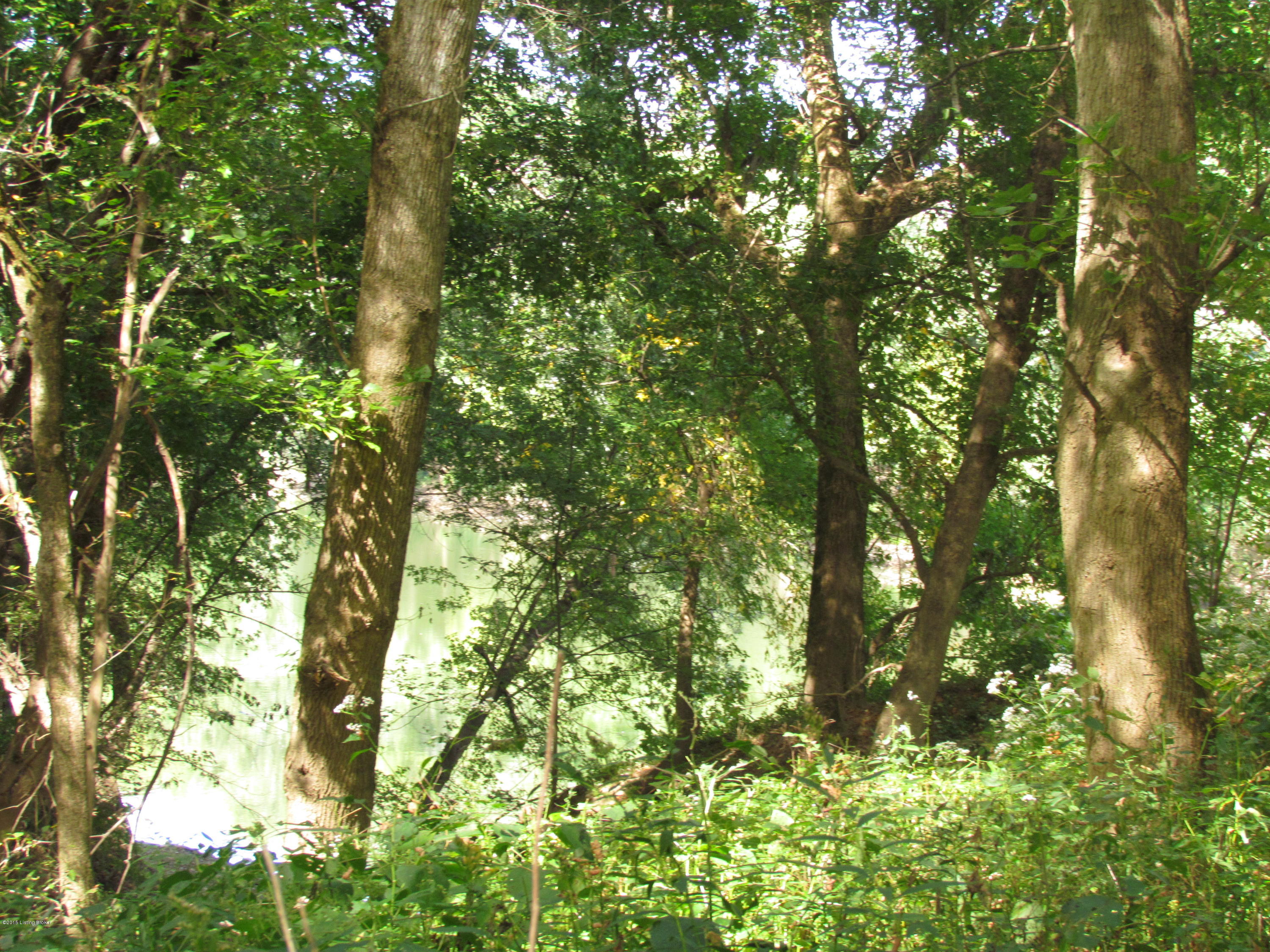 0 Lockport- Fallis Road Lockport, KY 40036 - Photo 2 of 28 VIEW OF THE KENTUCKY RIVER FROM THE LAND
