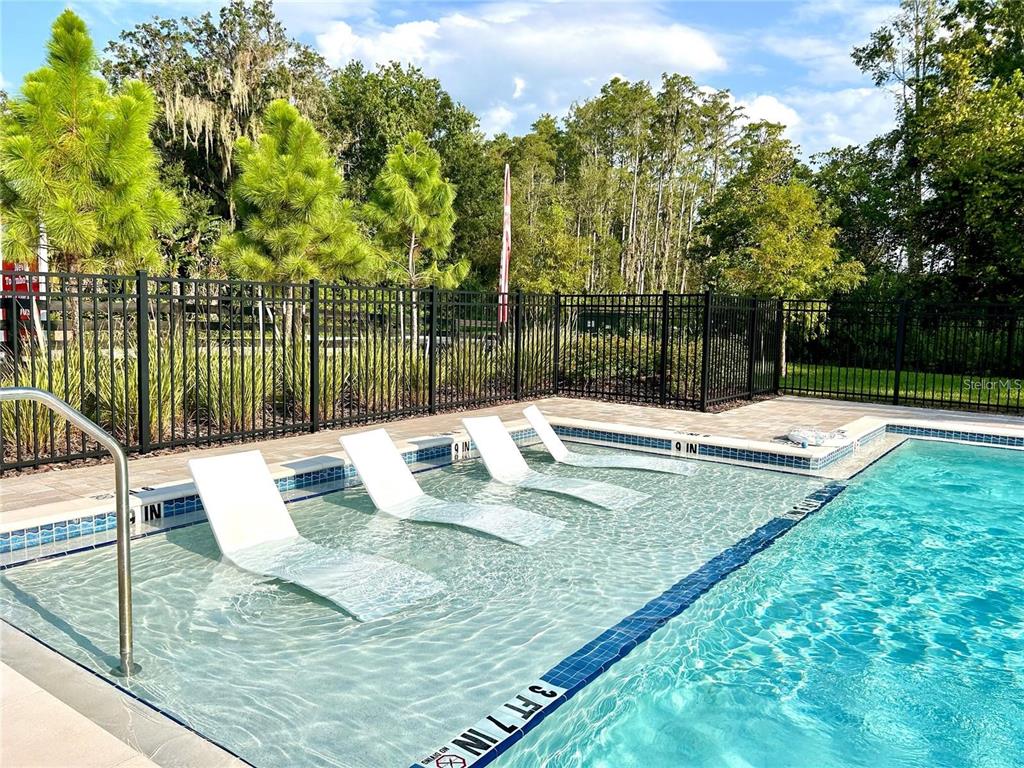 4652 Sparkling Shell Avenue Kissimmee, FL 34746 - Photo 34 of 35 a view of swimming pool with a patio and a yard