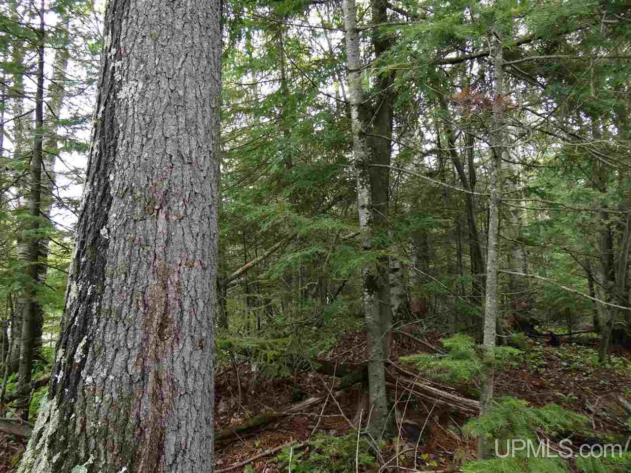 Tbd Freda Road Houghton, MI 49931 - Photo 8 of 15
