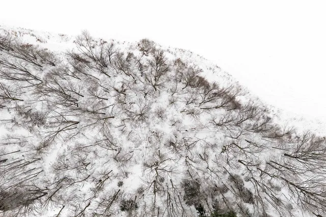 $215,000 | 9673 Dudzik Road, Krakow, WI 54137