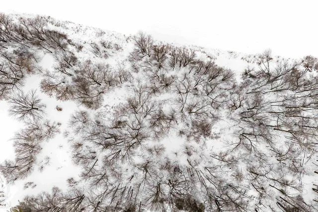 $215,000 | 9673 Dudzik Road, Krakow, WI 54137