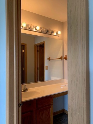 707 Shannon Drive Romeoville, IL 60446 - Photo 12 of 14 a bathroom with a sink and a mirror