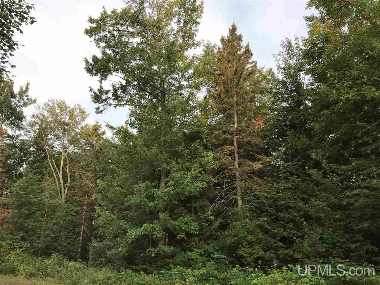 56465 Traprock Valley Road Calumet, MI 49913 - Photo 2 of 20