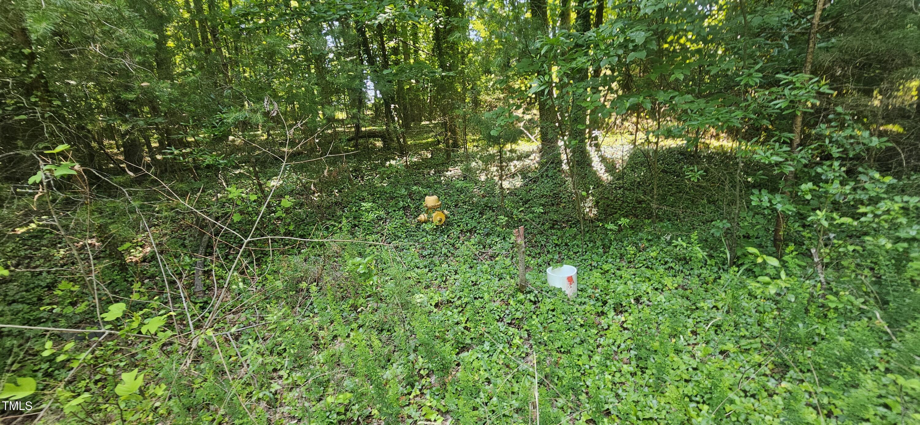 5802 Germanton Road Winston-Salem, NC 27105 - Photo 11 of 23 20240613_115454