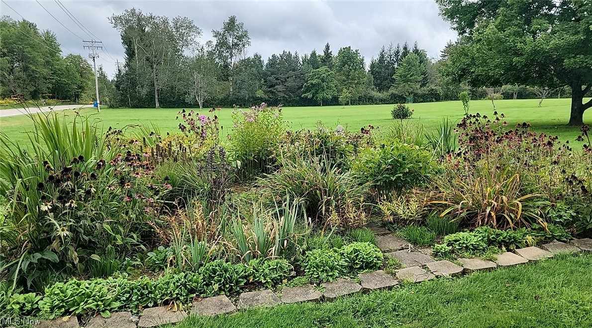 10966 Kile Road Chardon, OH 44024 - Photo 31 of 32 View of yard with tons of perrennials, landscaping is amazing