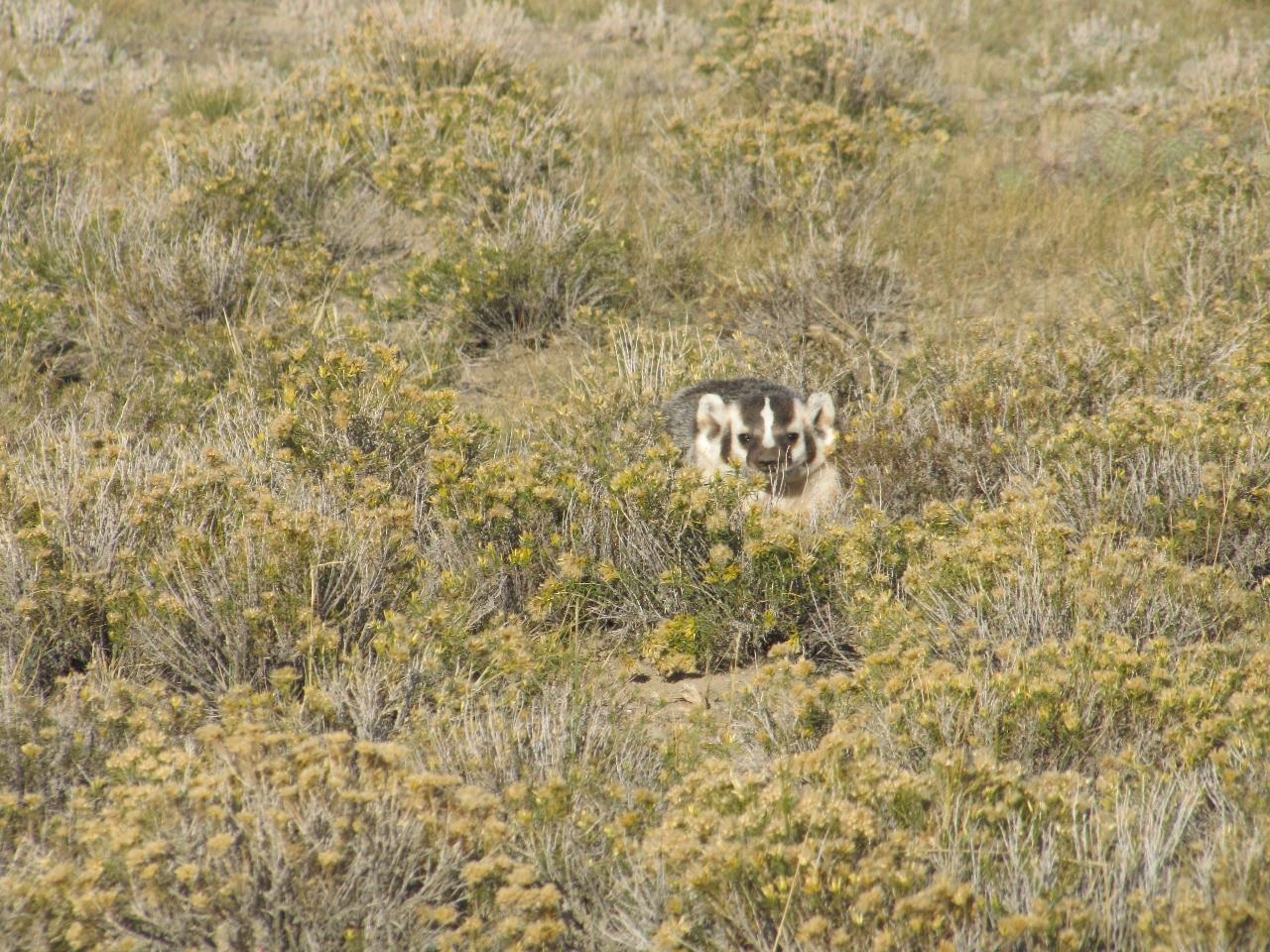 Shamrock Road Rawlins, WY 82301 - Photo 18 of 30