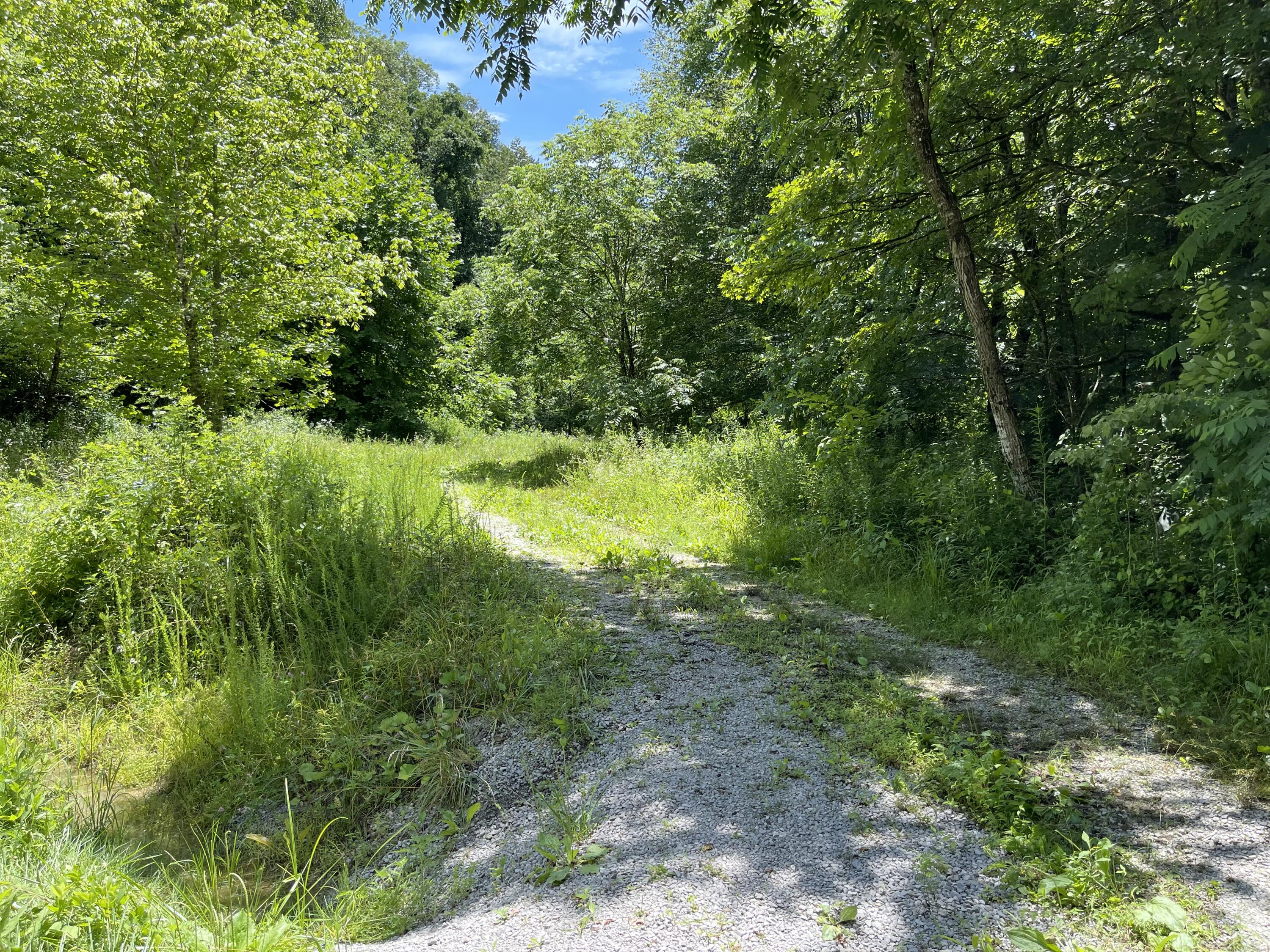 1111 Disappointment Hollow Road Green Road, KY 40946 - Photo 2 of 5 IMG-1713