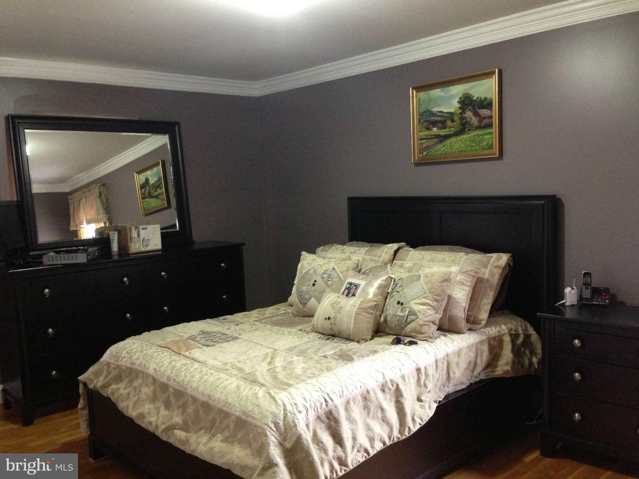 11604 Elkin Street Silver Spring, MD 20902 - Photo 21 of 23 Master bedroom view 2