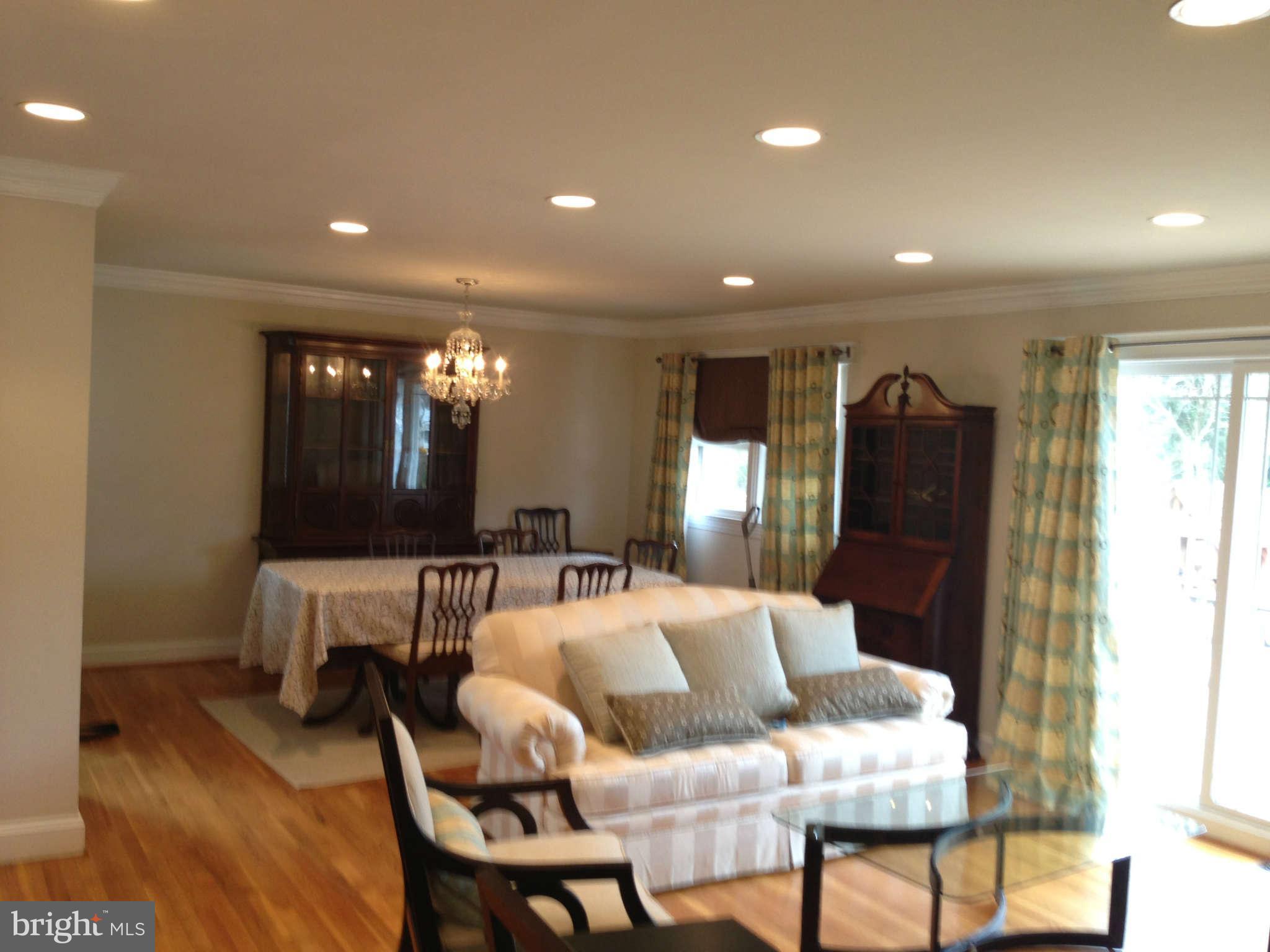 11604 Elkin Street Silver Spring, MD 20902 - Photo 23 of 23 Lots of light
