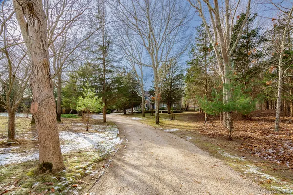 a view of yard with tree