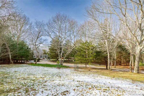 a view of park with trees
