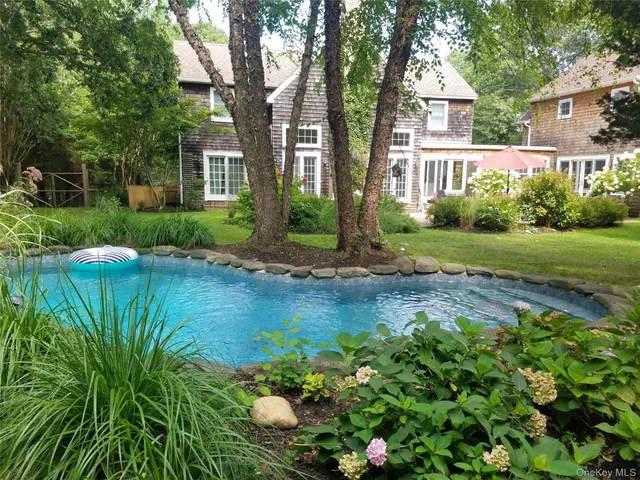 a view of a garden with plants and large trees