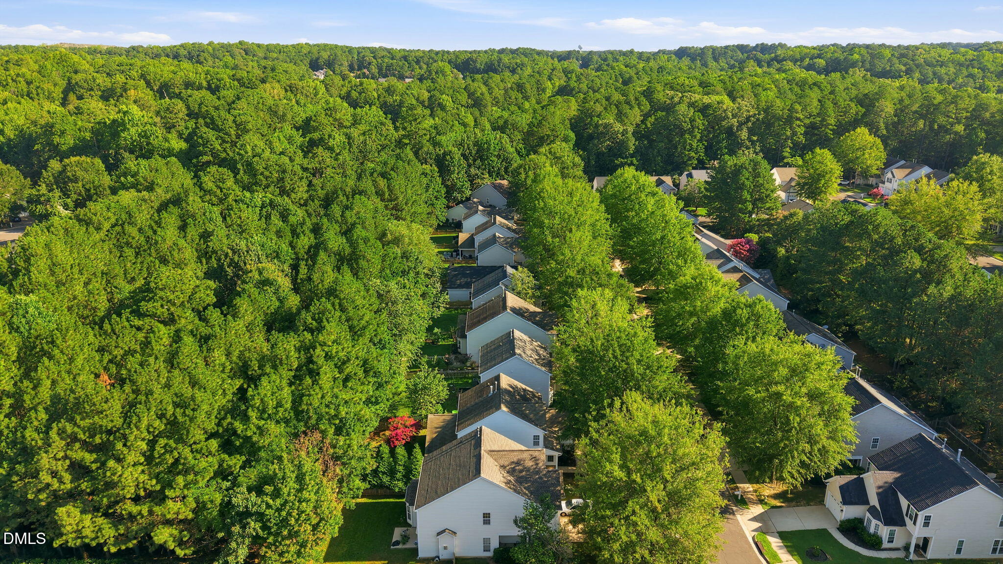 7-web-or-mls-DJI_20260731091133_0920_D