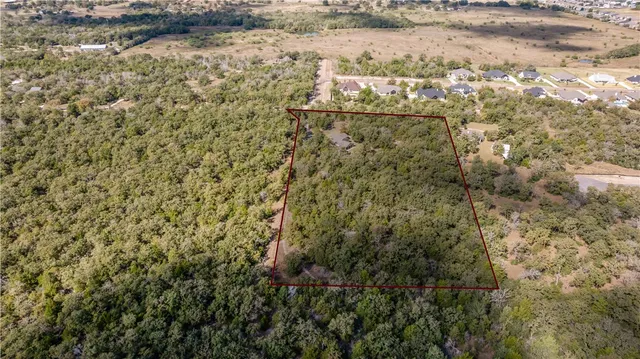 a view of a forest with lush green forest