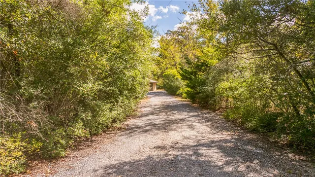 a view of a house with backyard and tree
