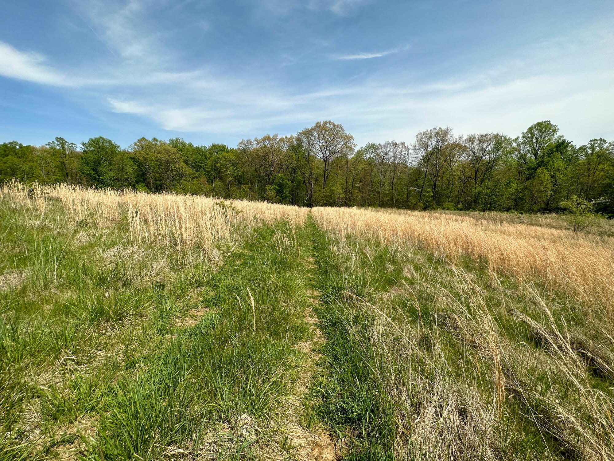 0 Griffith Road Logan, OH 43138 - Photo 12 of 44 IMG_2538