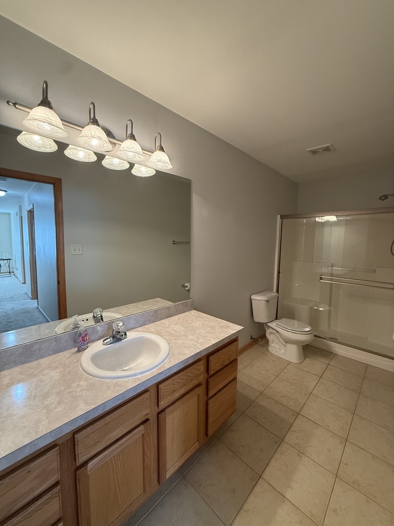 710 Silver Leaf Court Joliet, IL 60431 - Photo 17 of 28 a bathroom with a sink vanity and toilet