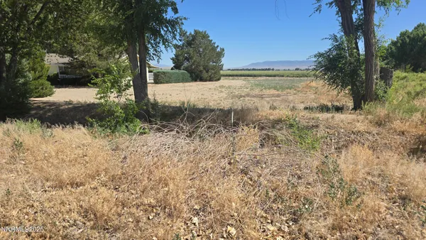 $35,000 | 12 Mason Road, Yerington, NV 89447