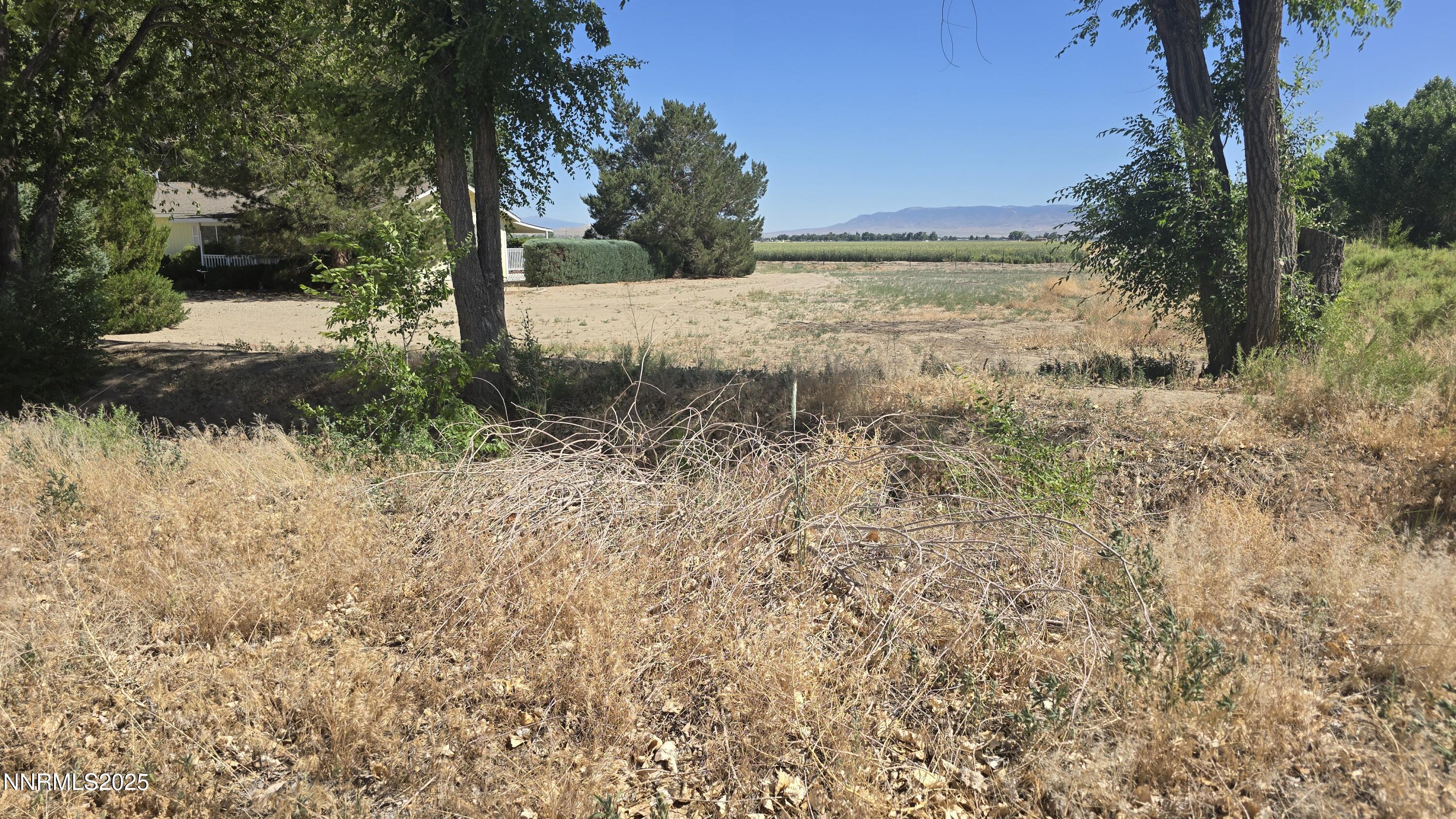 a view of a yard with an outdoor space