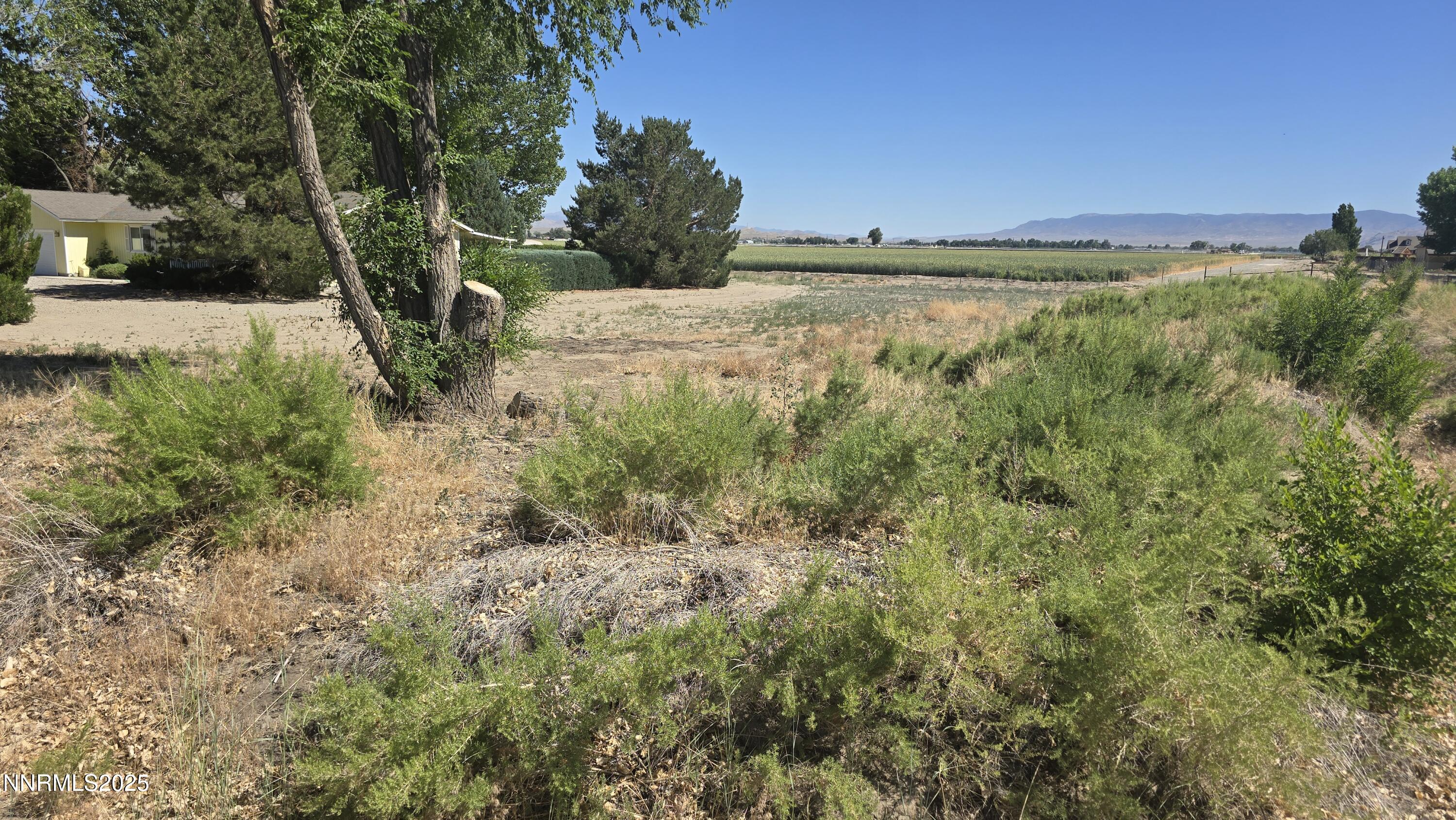12 Mason Road Yerington, NV 89447 - Photo 2 of 10 a view of a lake with a house in the background