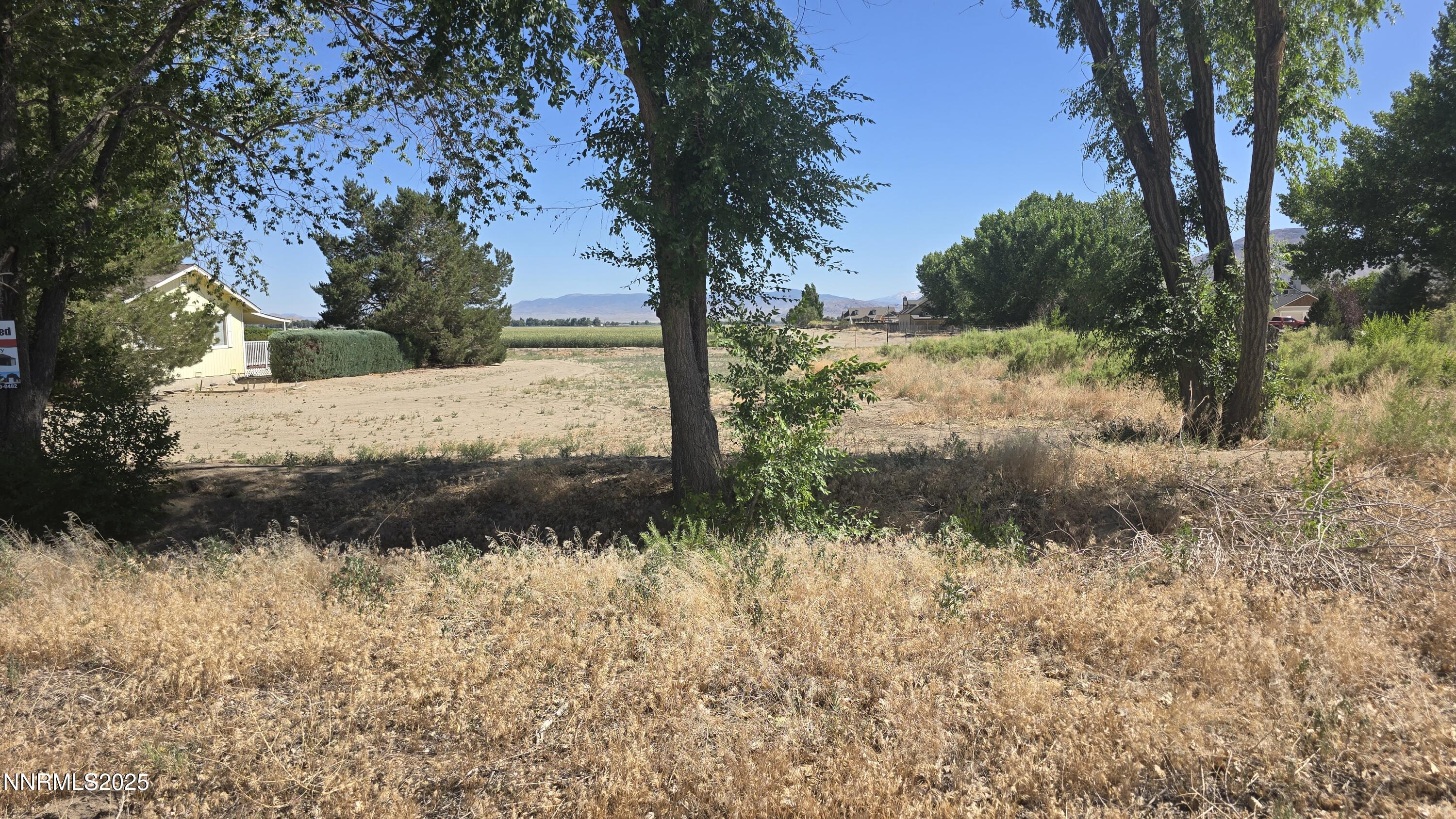 12 Mason Road Yerington, NV 89447 - Photo 8 of 10 a view of a yard with a tree