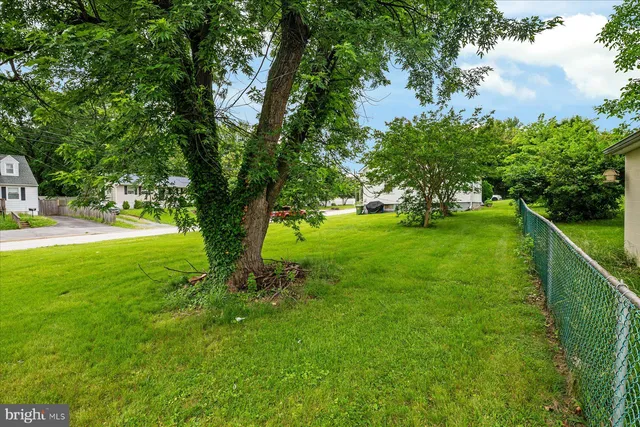 a view of a garden with a tree