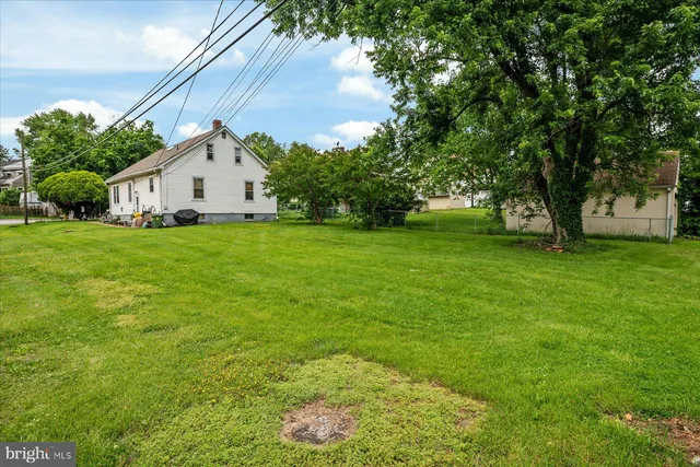 a view of a backyard with large trees