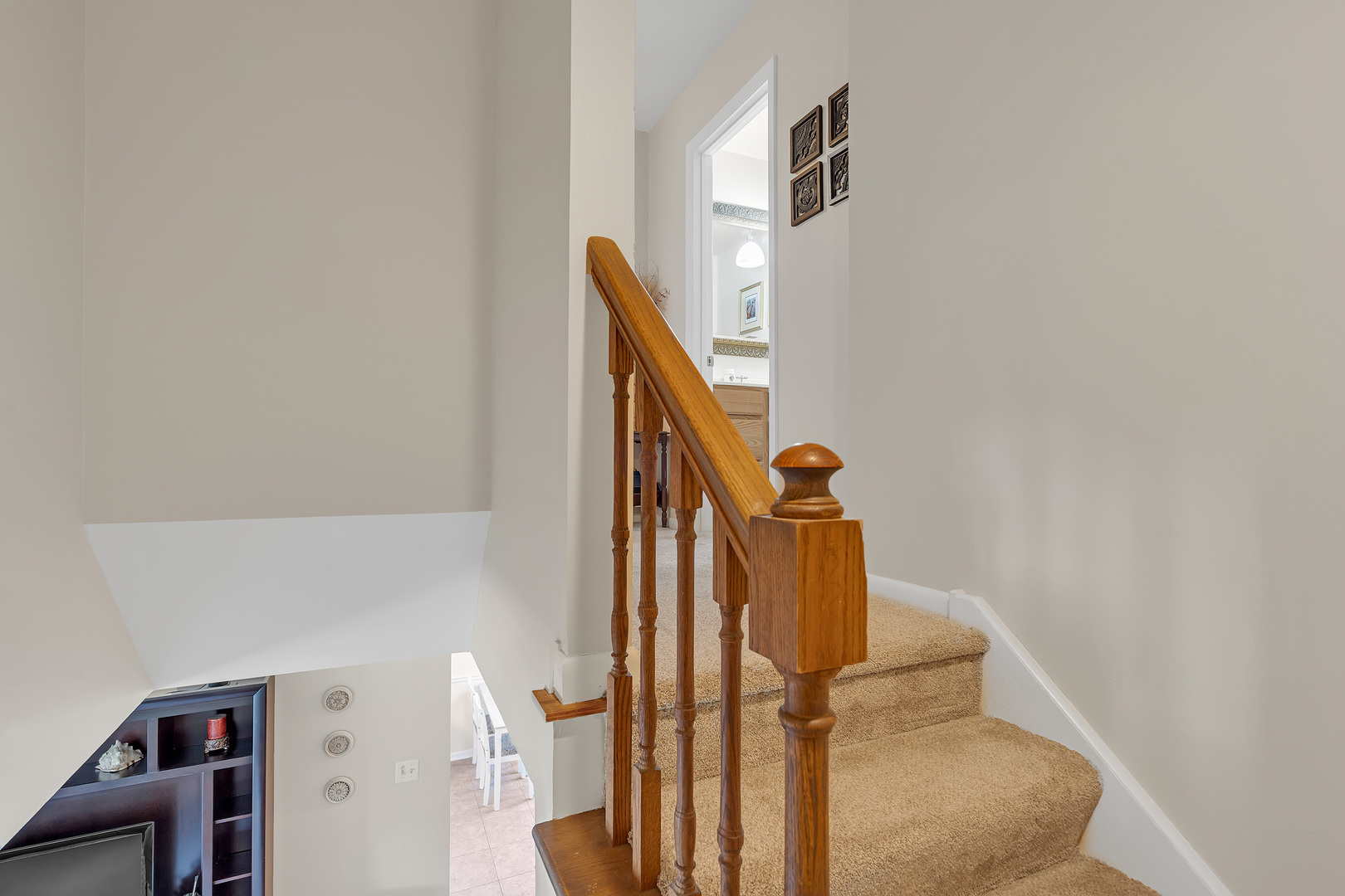 1256 Reading Court Wheaton, IL 60189 - Photo 16 of 34 a view of entryway