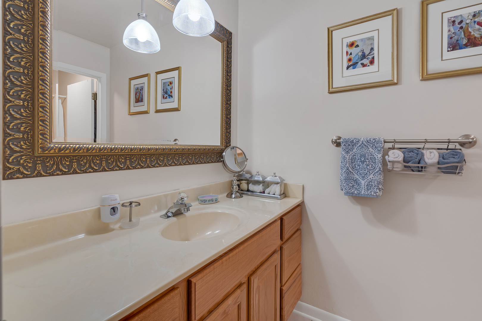 1256 Reading Court Wheaton, IL 60189 - Photo 21 of 34 a bathroom with a sink and a mirror