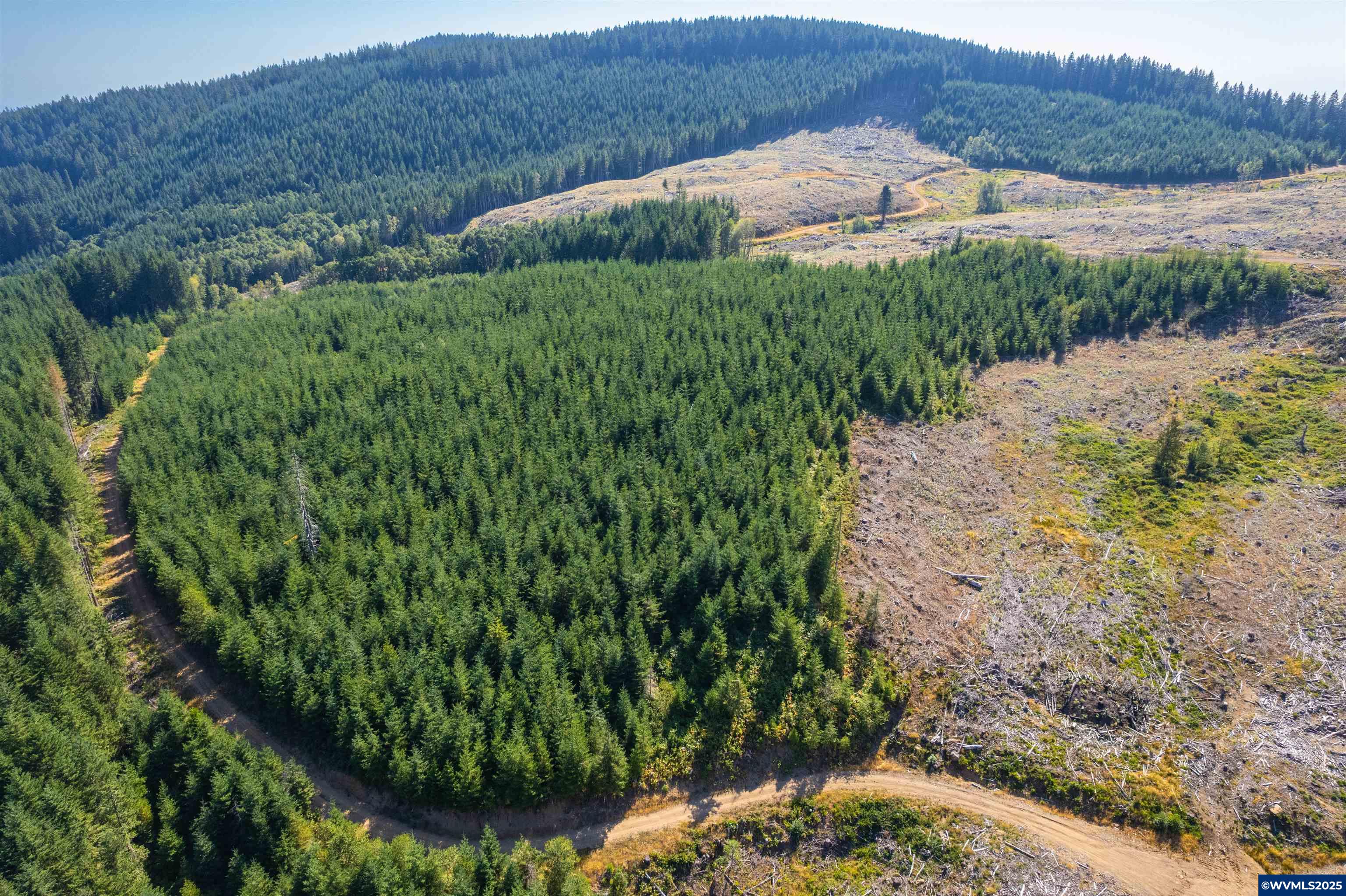 0 Bald Mountain Access Road Willamina, OR 97396 - Photo 11 of 30