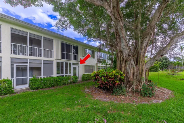 a view of a house with a yard and a large tree