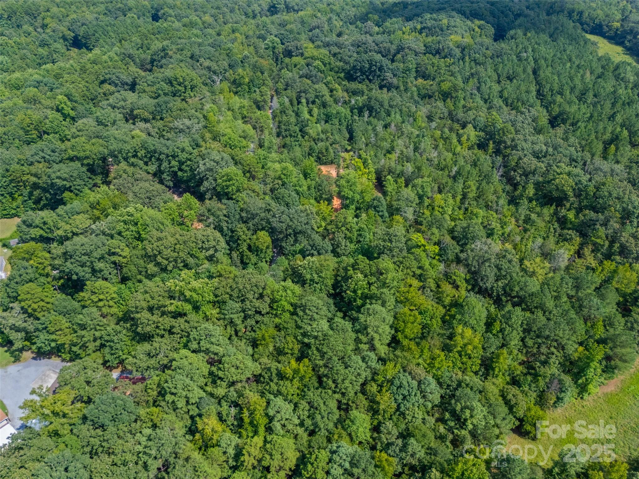 Lot 1 Ratteree Farm Road, Unit 1 Rock Hill, SC 29730 - Photo 2 of 5 a view of a lush green forest with lots of trees