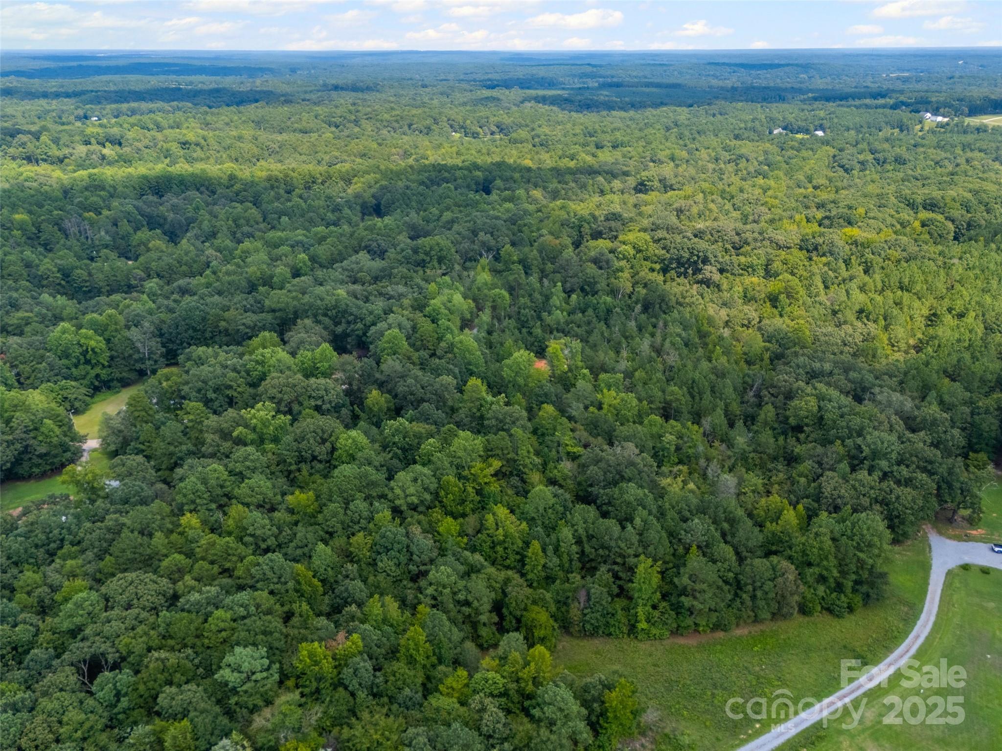 Lot 1 Ratteree Farm Road, Unit 1 Rock Hill, SC 29730 - Photo 4 of 5 a view of a green field with lots of green space