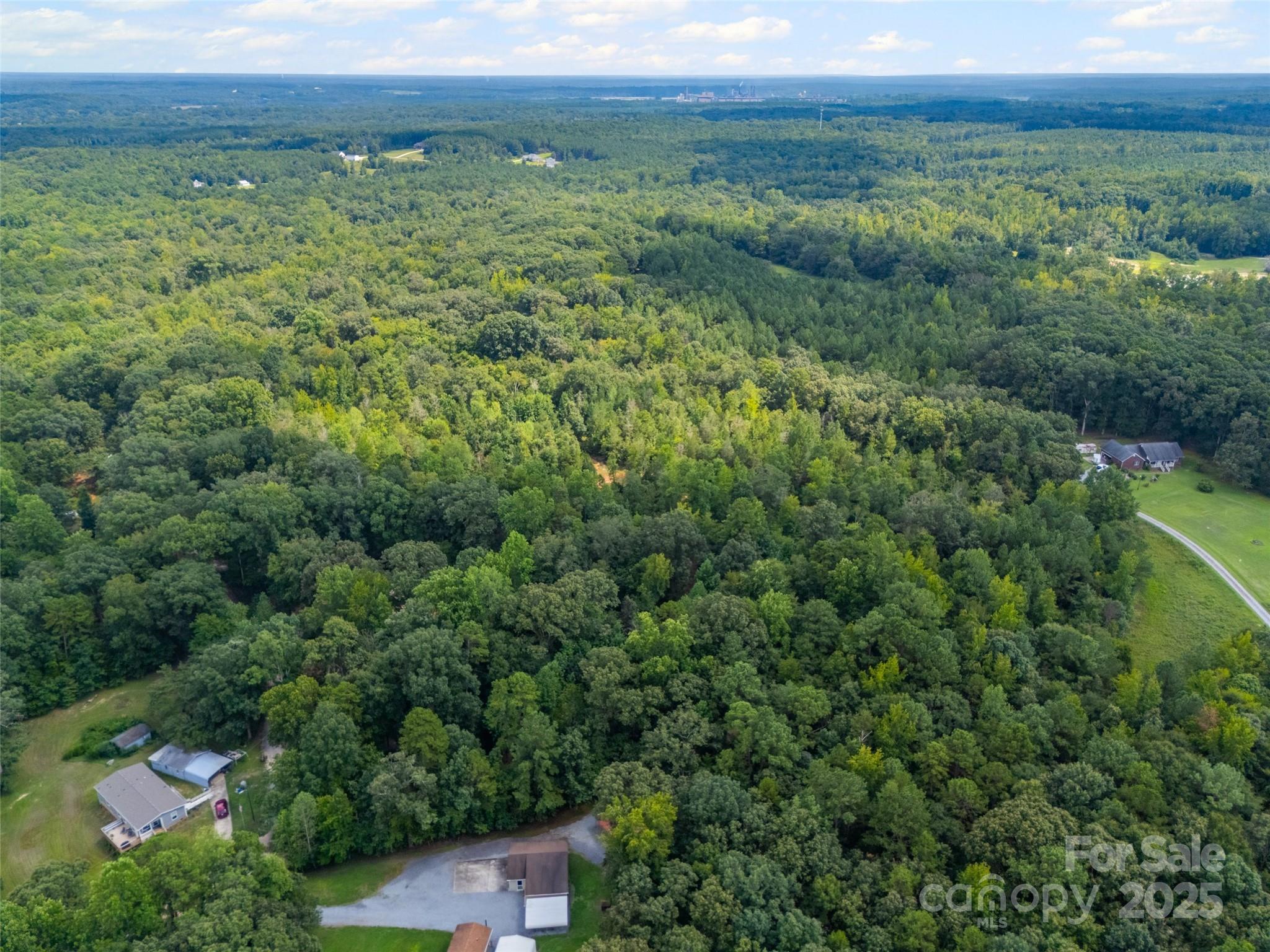 Lot 1 Ratteree Farm Road, Unit 1 Rock Hill, SC 29730 - Photo 5 of 5 a view of a lush green forest with lots of trees