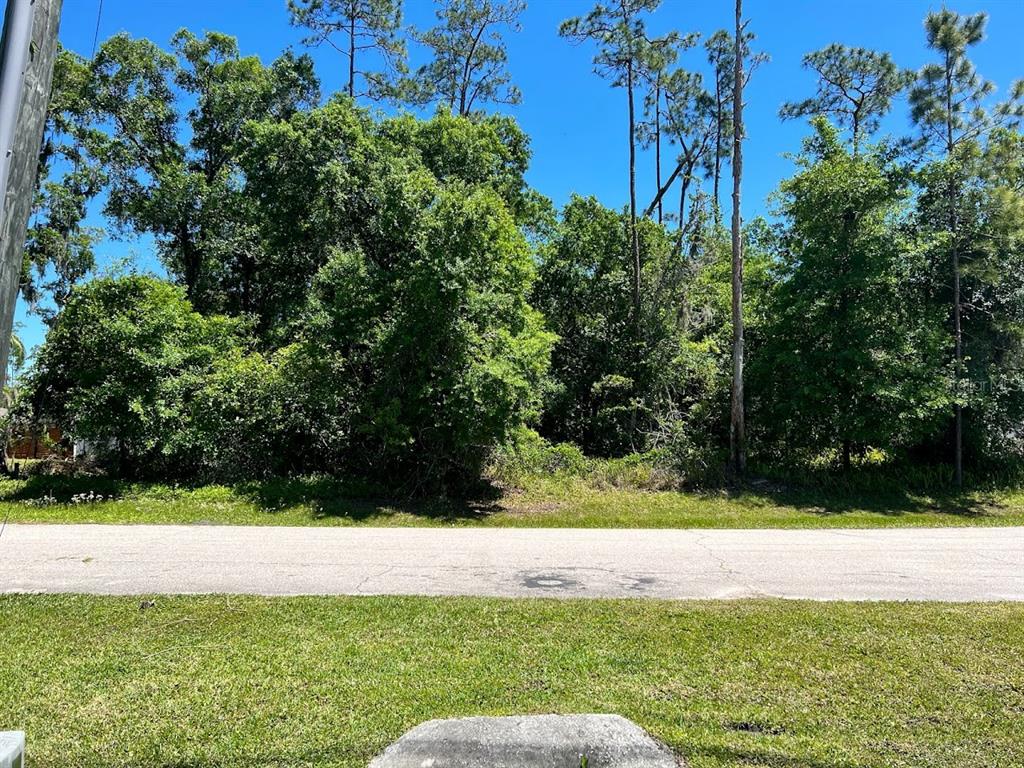 0 Roberts Island Road Orlando, FL 32832 - Photo 1 of 1