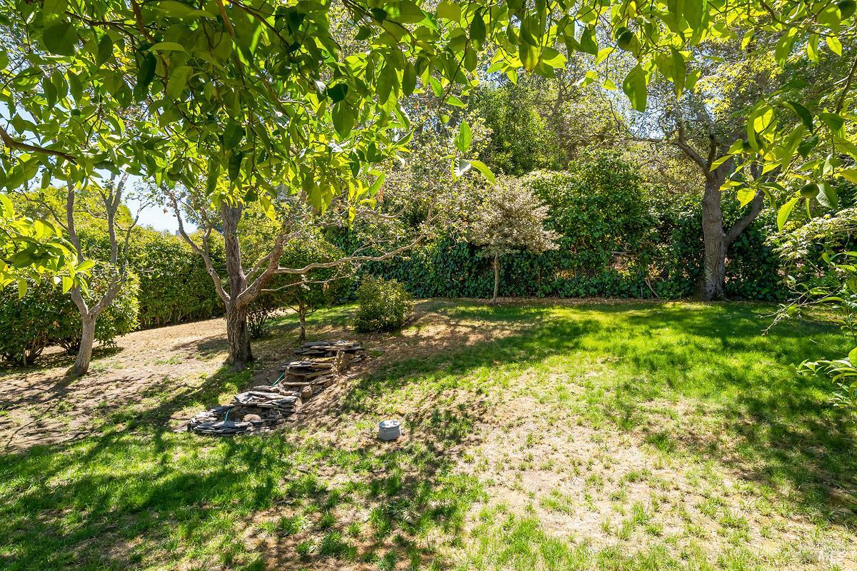 316 Riviera Drive San Rafael, CA 94901 - Photo 33 of 41 a view of outdoor space with deck and yard