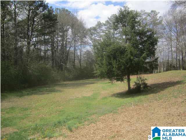 92 Scenic Trail Oneonta, AL 35121 - Photo 7 of 32