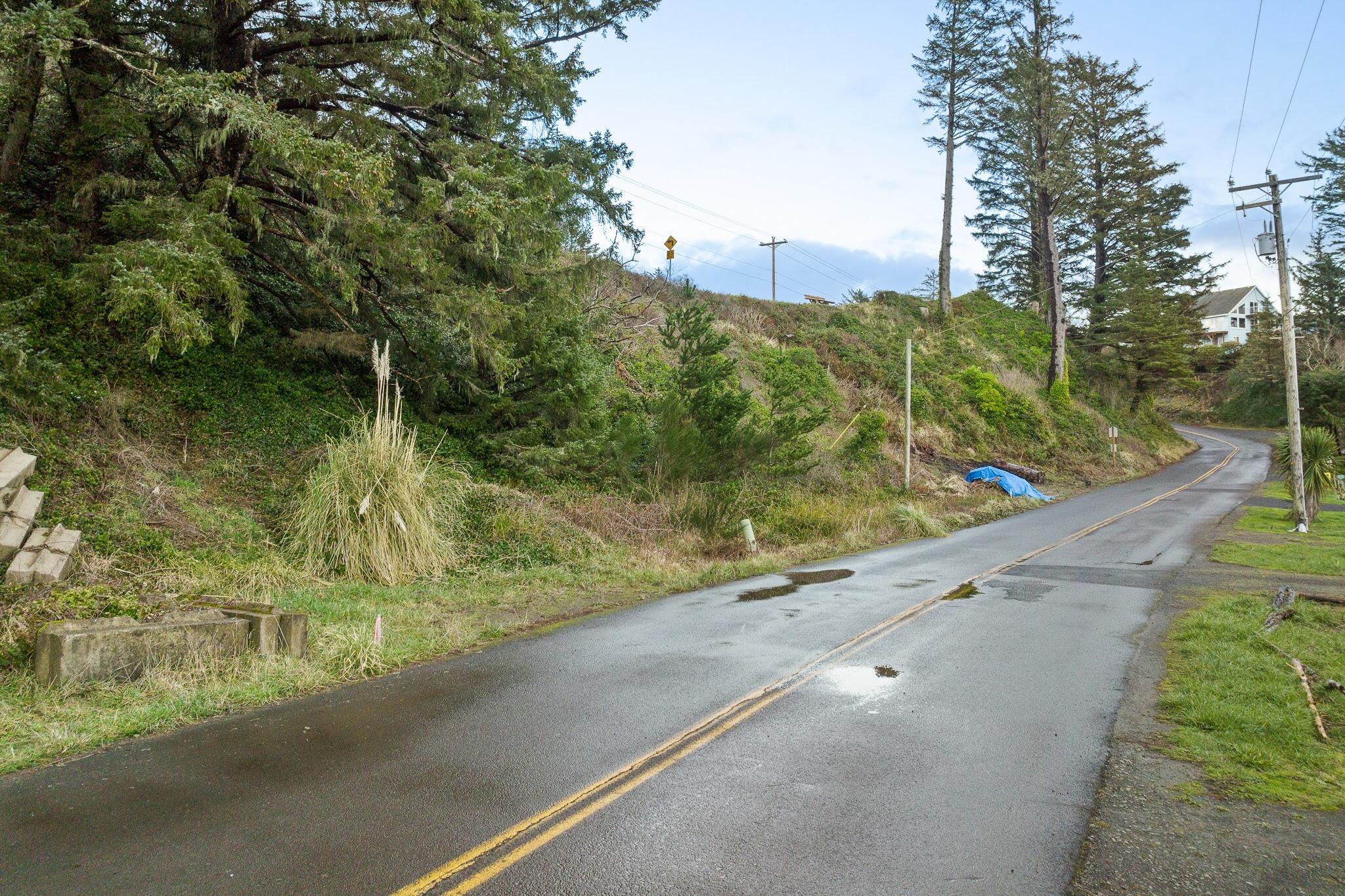 224 Happy Camp Road Tillamook, OR 97141 - Photo 6 of 17 TL 224 Happy Camp