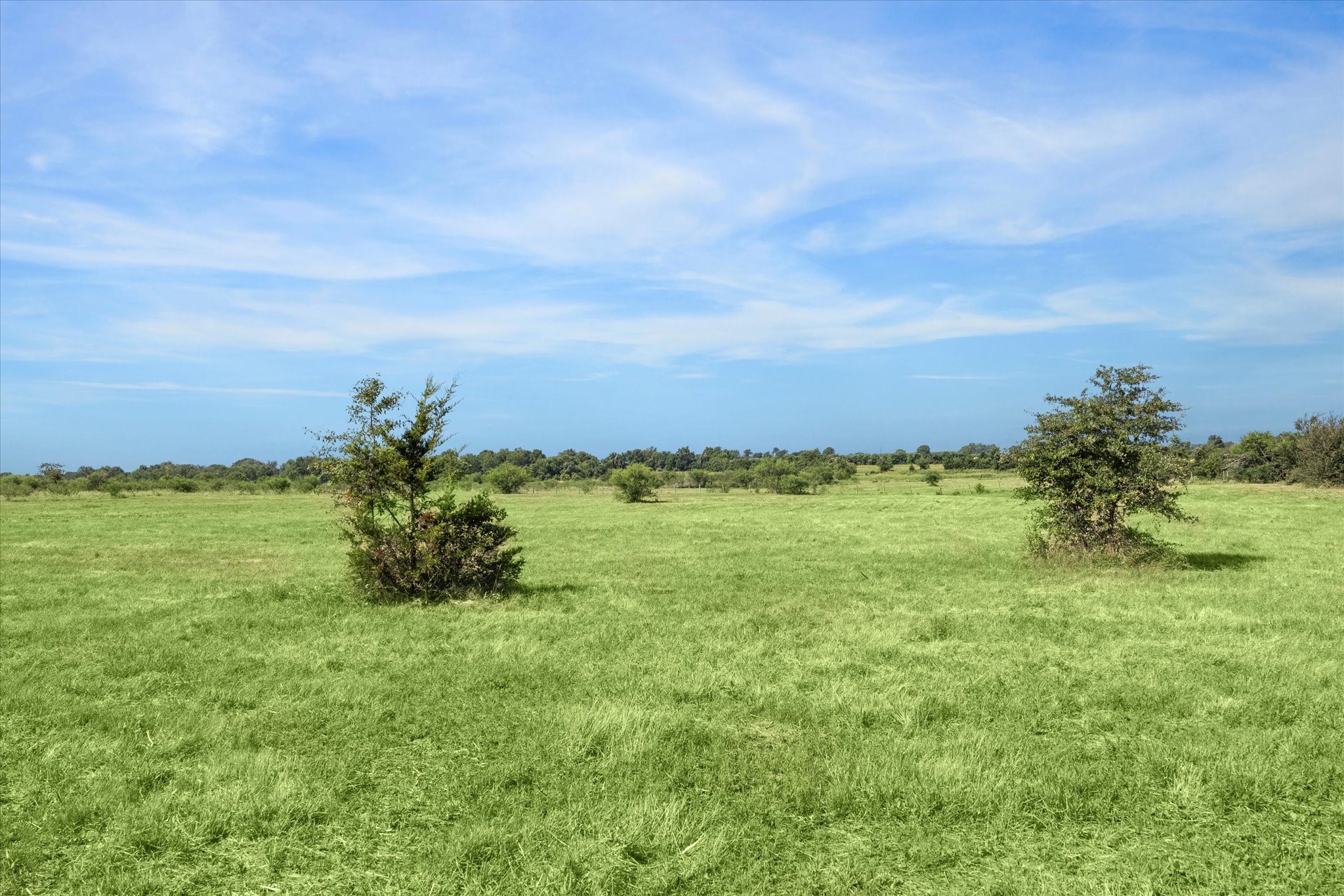 31 Gerland Wagner Road Burton, TX 77835 - Photo 4 of 12