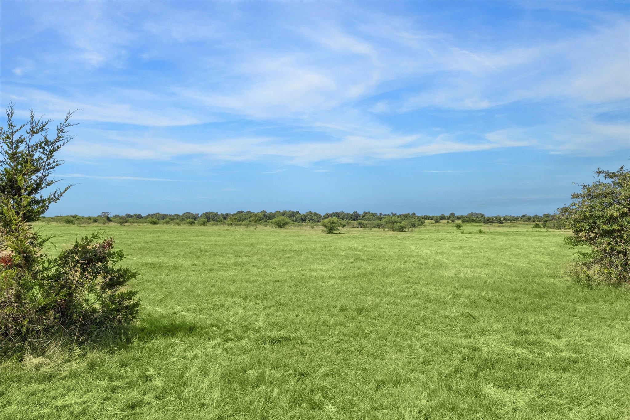 31 Gerland Wagner Road Burton, TX 77835 - Photo 5 of 12