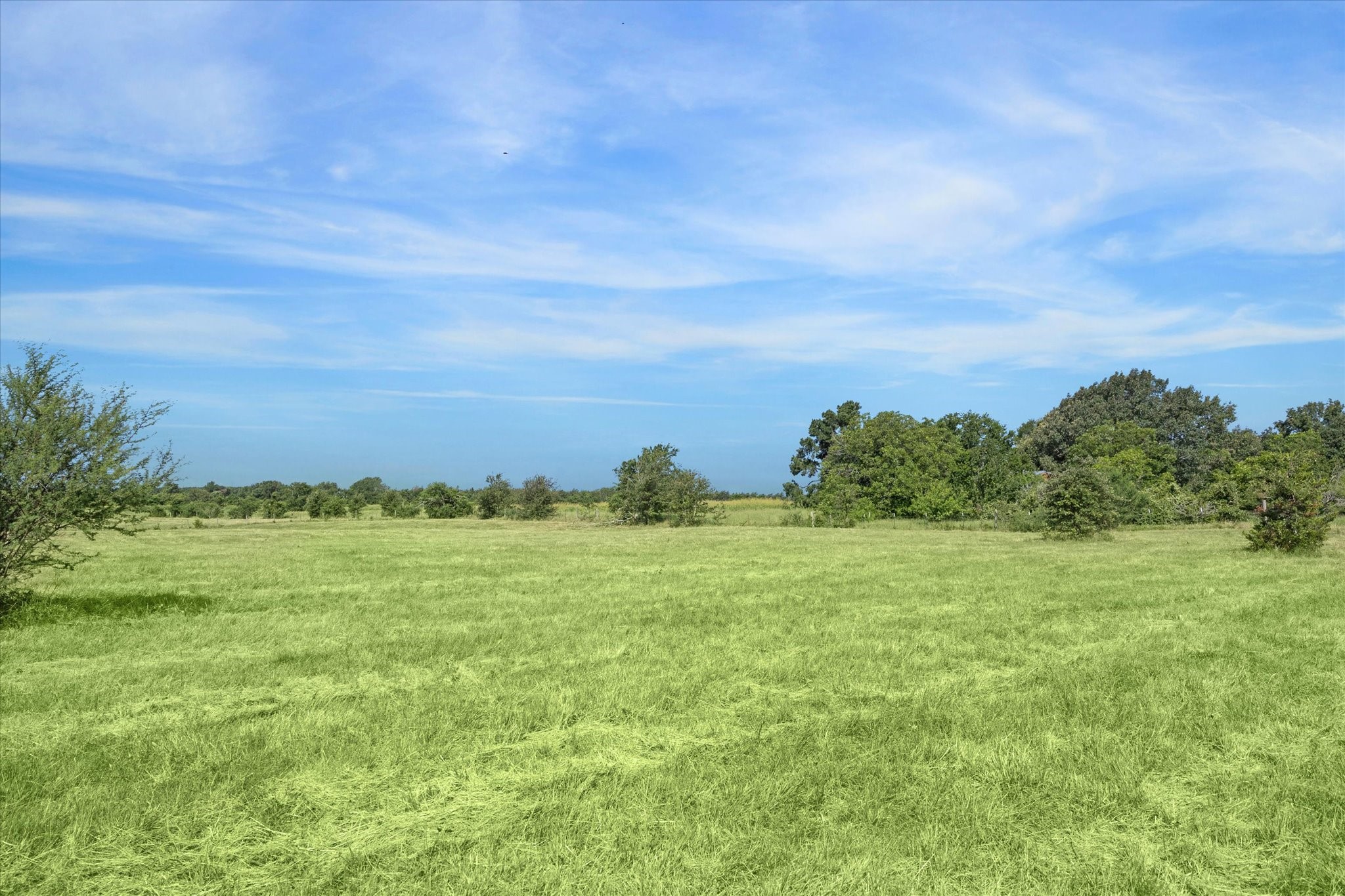 31 Gerland Wagner Road Burton, TX 77835 - Photo 7 of 12