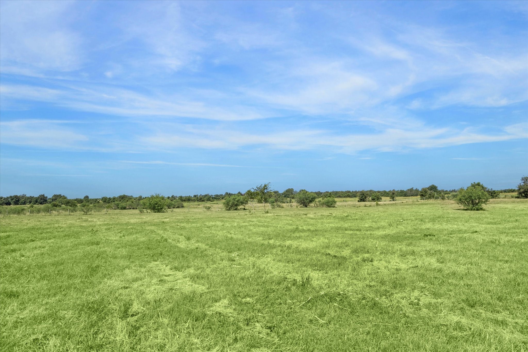 31 Gerland Wagner Road Burton, TX 77835 - Photo 8 of 12