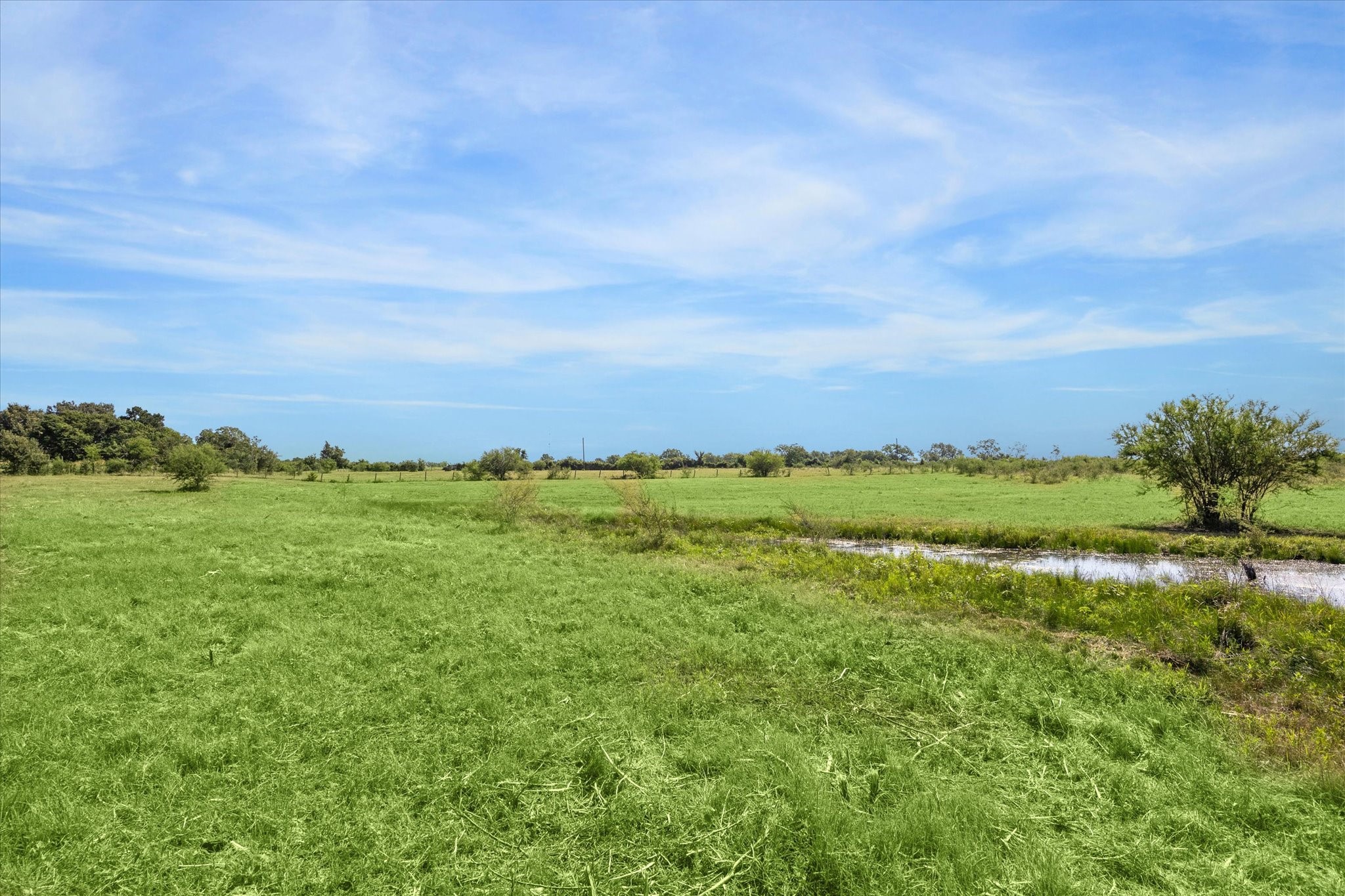 31 Gerland Wagner Road Burton, TX 77835 - Photo 9 of 12