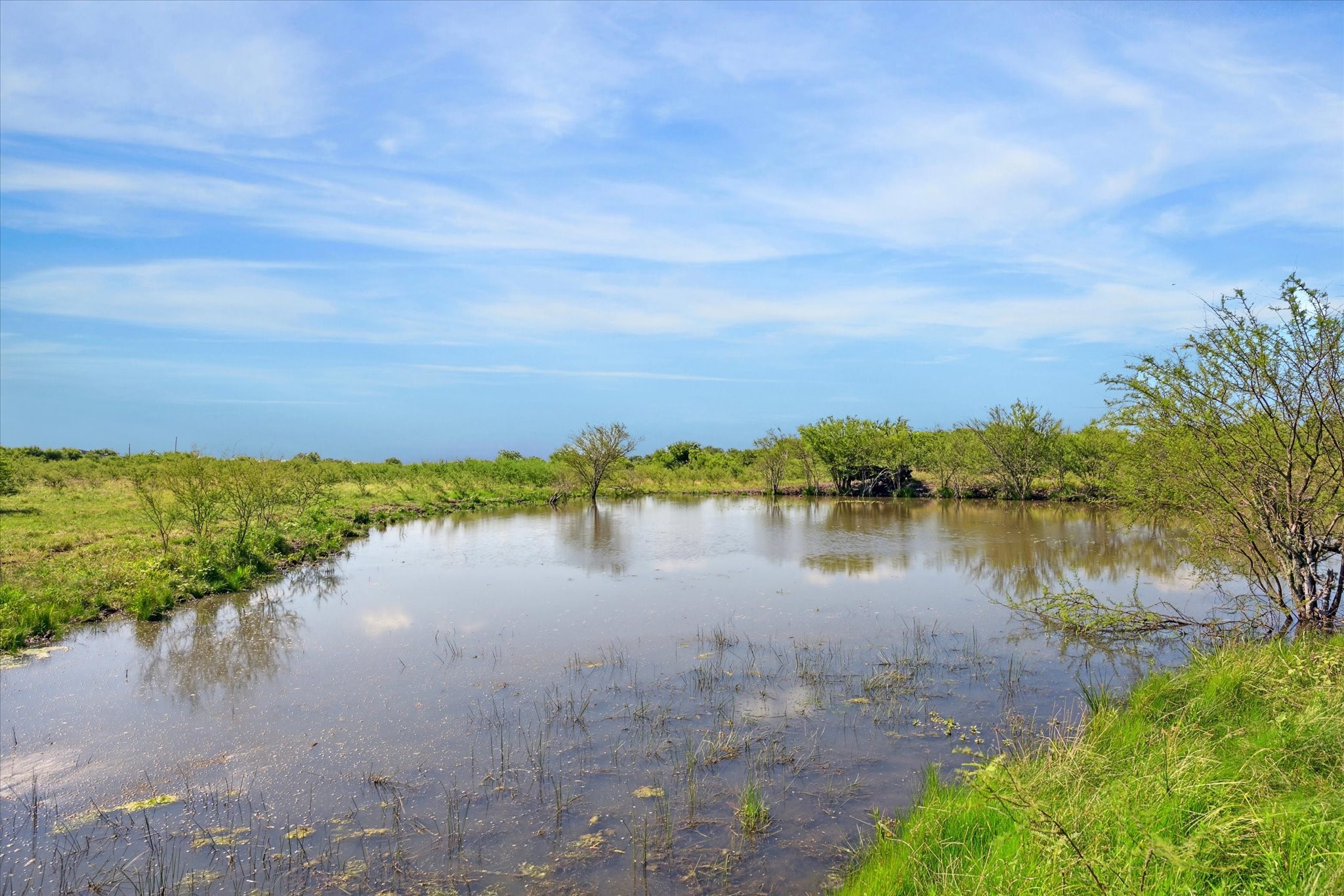 31 Gerland Wagner Road Burton, TX 77835 - Photo 10 of 12