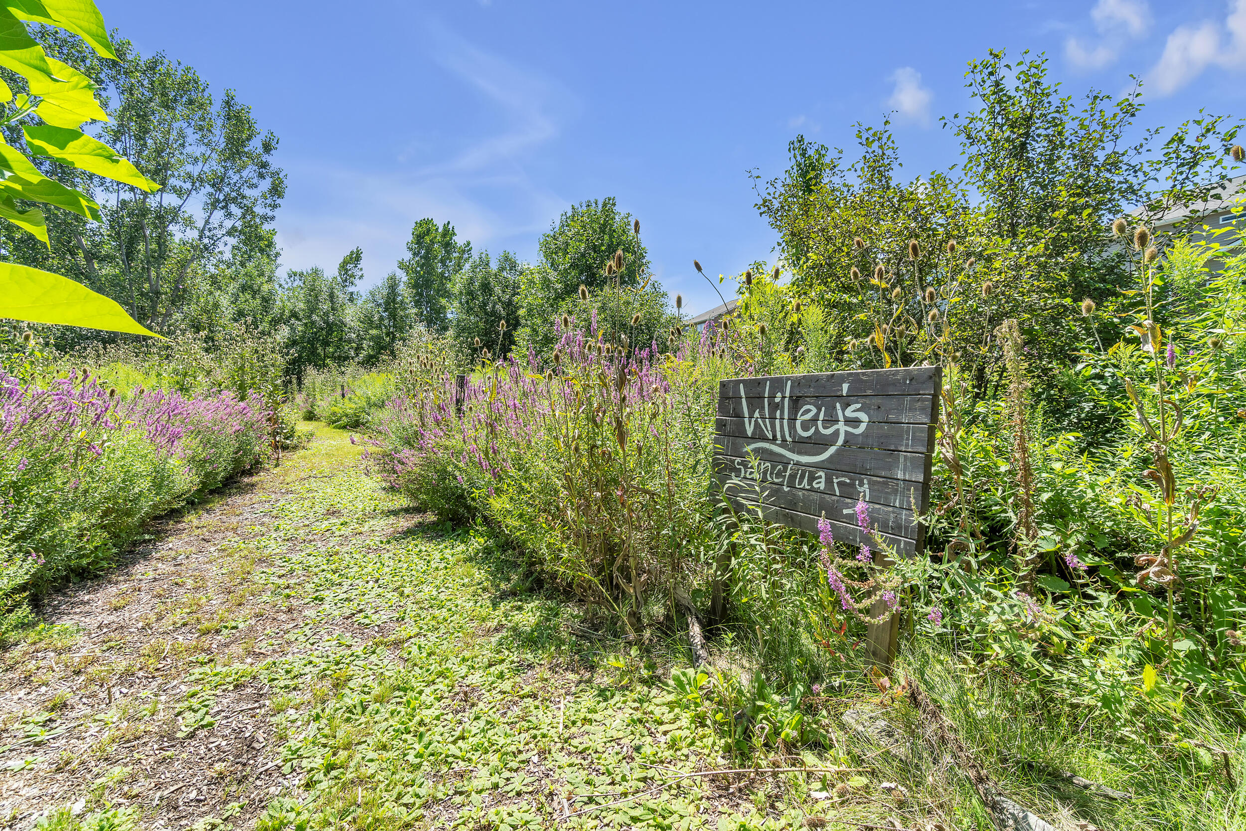 49367 Saltz Road Canton, MI 48187 - Photo 35 of 49 saltz-46