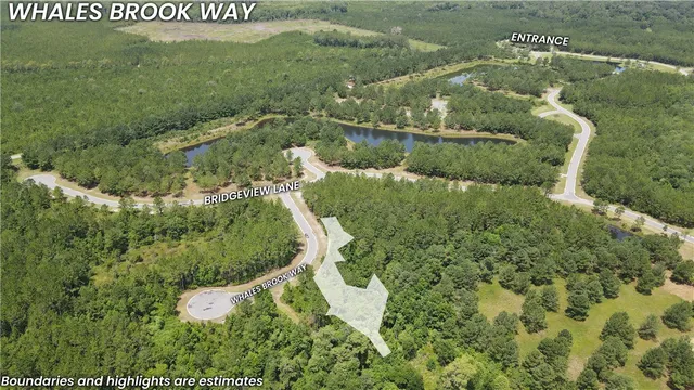 $20,000 | Lot 394 Whales Brook Way, Waverly, GA 31565