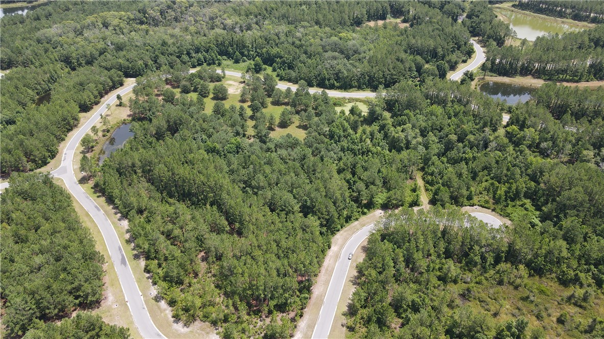 Lot 394 Whales Brook Way Waverly, GA 31565 - Photo 4 of 16